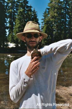 Trinity Alps, CA - Holding a Western Toad (Bufo boreas)